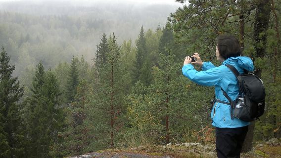 Petualangan Alam Setengah Hari ke Taman Nasional Nuuksio dari Helsinki