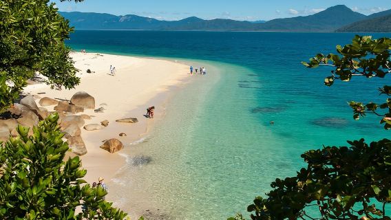 Tour nửa ngày tham quan đảo Cairns Fitzroy ( du thuyền khứ hồi )