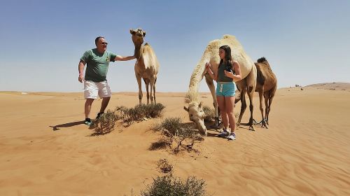 Morning Adventure Safari: CamelTrek QuadBike Sandboard Falcon Pic Day Tours 2