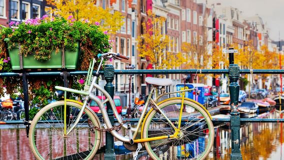 Amsterdam private bike tour