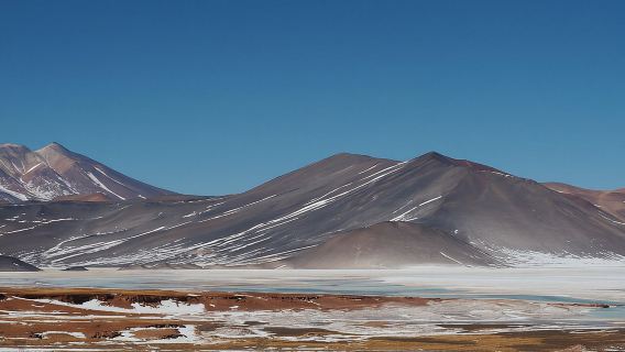 Chuyến tham quan trong ngày đến Piedras Rojas và Altiplanic và Chaxa Lagoons
