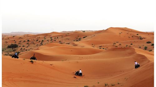 RAK Quad Bike Tour with Return Transfer 3