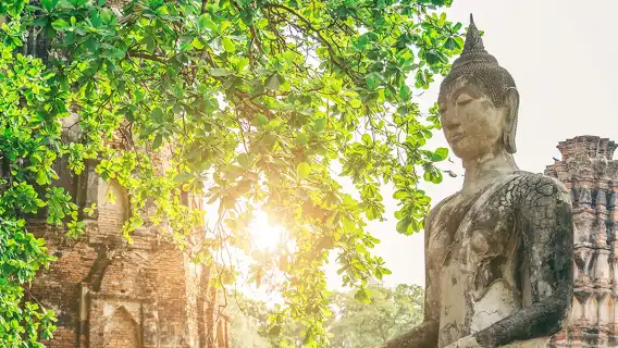 曼谷大城府一日遊邦芭茵夏宮+柴瓦塔那蘭寺+瑪哈泰寺樹抱佛