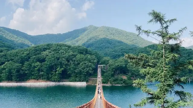 非軍事區之旅：第三隧道，可選路線（懸索橋、乘船）從首爾出發