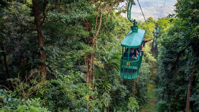 St Lucia Ultimate 3: Tram Udara, Zipline, dan Hiking di Rainforest Adventures