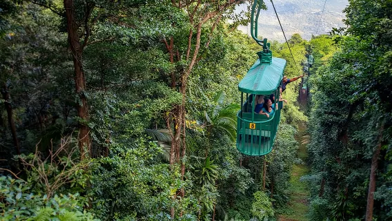 St Lucia Ultimate 3: Teleférico, Tirolesa e Caminhada na Rainforest Adventures