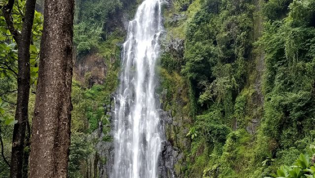 Private Tour to Materuni waterfalls, coffee tour & Kikuletwa hot- springs