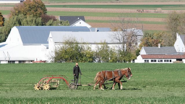 Tour Premium nella Contea Amish con Visita alla Fattoria e alla Casa Amish