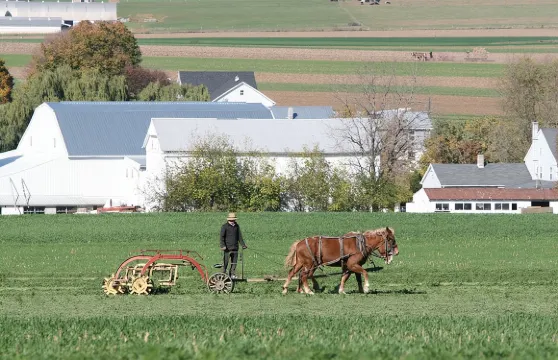 阿米什鄉村尊貴之旅（包括阿米什農莊及房屋）