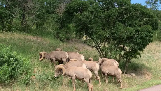 Colorado Springs: Garden of the Gods Luxury Jeep Tours