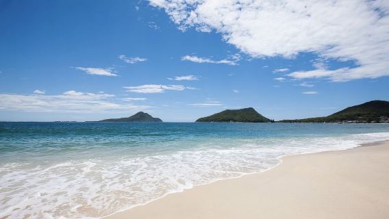 史蒂芬港觀海豚一日遊【普通話司導|觀海豚|滑沙|含午餐】