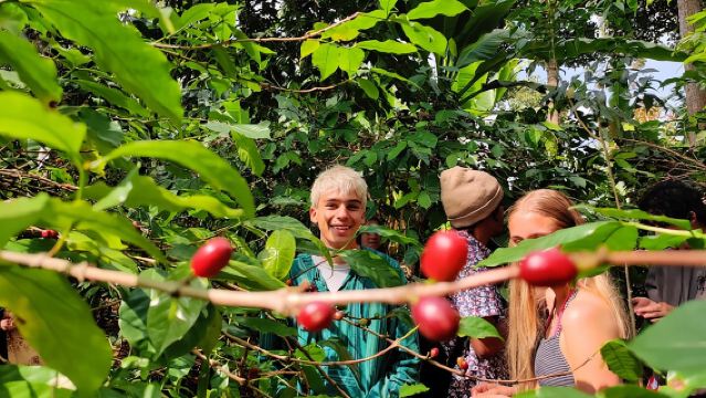 Hidden Arusha Waterfall, Village & Coffee Tour (All-Inclusive)