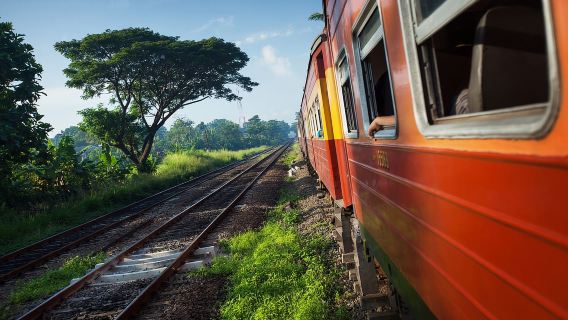 Nanuoya: First-Class Scenic Train Ticket To/From Kandy