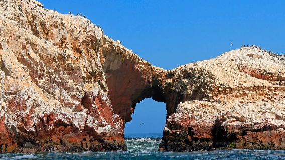 จากปารากัส: หมู่เกาะ Ballestas + เขตอนุรักษ์แห่งชาติปารากัส