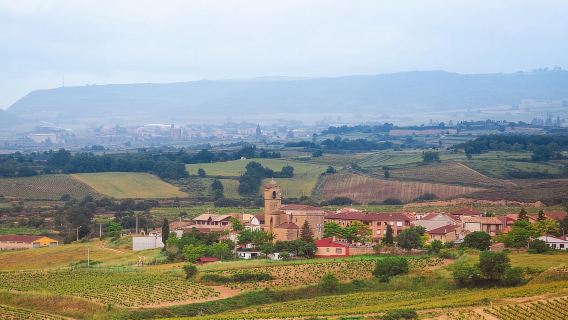 Private Tour Girona & Medieval Villages from Barcelona