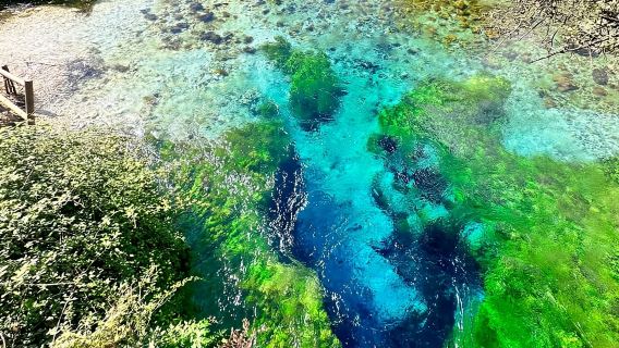 Ksamil or Saranda: Blue Eye & Lekuresi Castle 4-Hour Tour