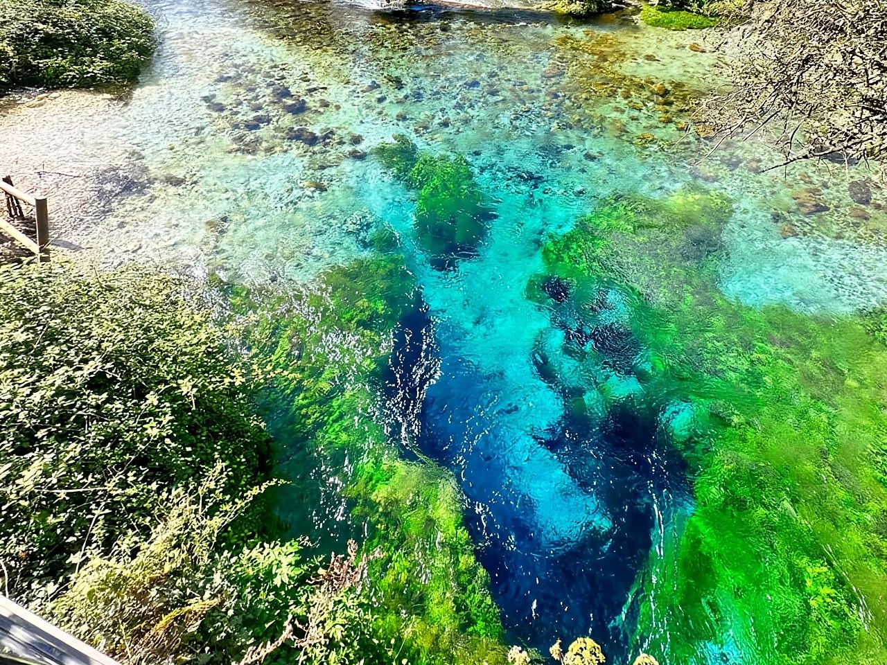 Ksamil o Saranda: tour de 4 horas por Blue Eye y el castillo de Lekuresi