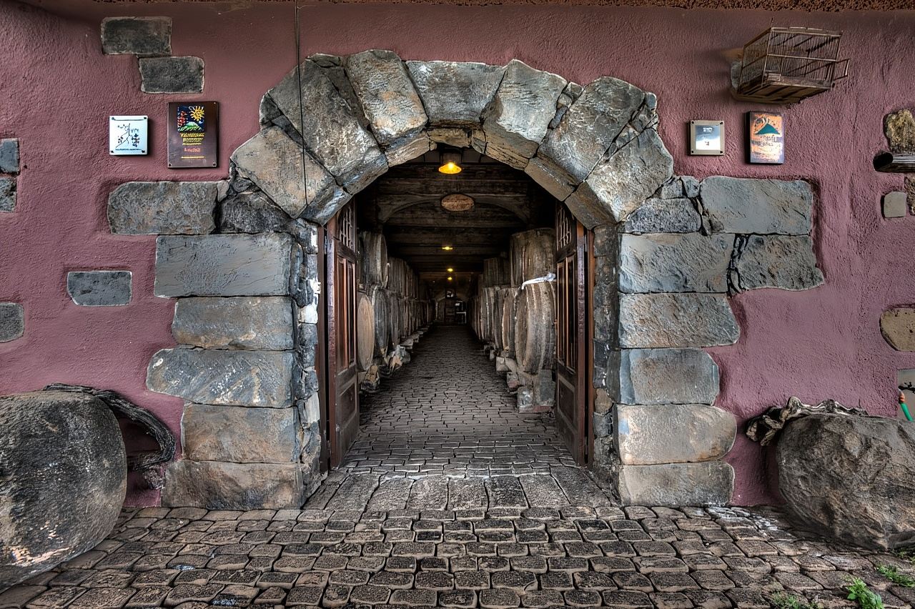 El Sauzal: Visita a la bodega y taller de mojo