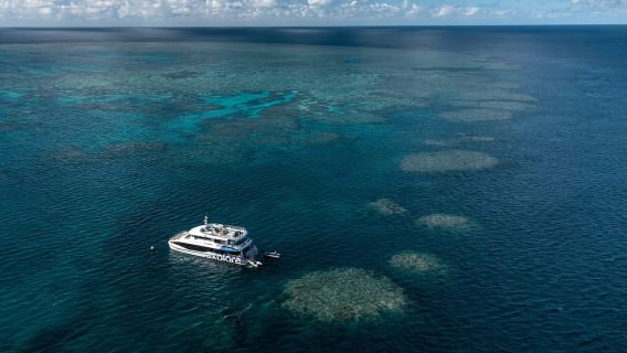 Bãi biển Airlie: Lặn biển ngắm rạn san hô Great Barrier từ Cảng Shute