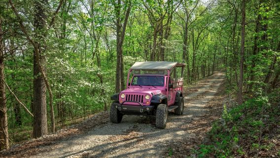 Branson: Downtown to Mountaintop Pink Jeep Adventure
