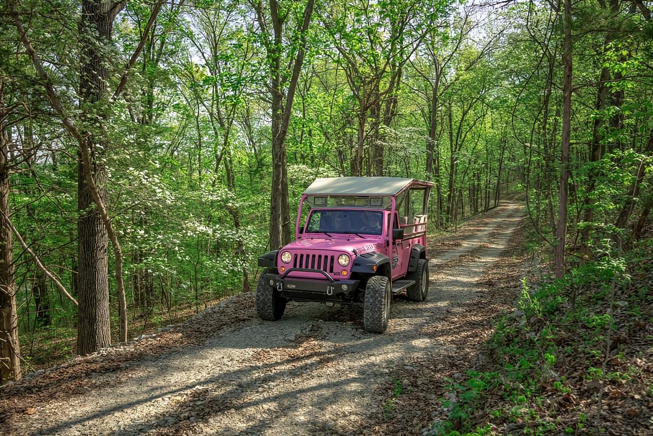 Branson: Aventura en Jeep Rosa del centro a la cima de la montaña