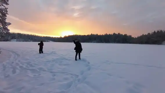 From Helsinki: Nuuksio National Park Hiking Tour with Food