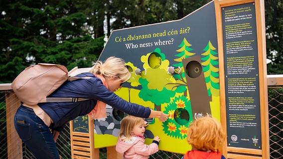 Avondale: Beyond the Trees Treetop Walk & Tower Entry Ticket