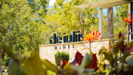 From Sydney: Full-Day Hunter Valley Tour w/ Tastings & Lunch