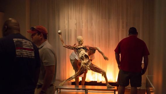 ลาสเวกัส: บัตรเข้าชม Real Bodys ที่ Horseshoe Las Vegas