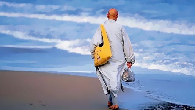 （含餐+門票船票）普陀山+法雨寺+南海觀音+普濟禪寺純玩一日遊