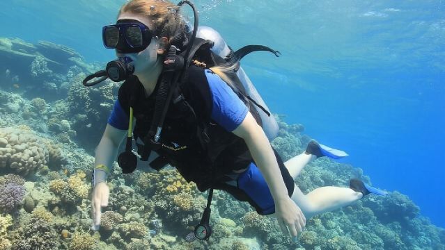 EgyptHurghadaDiscover divingscuba diving/Snorkeling/Scuba Diving Photography8 Hours