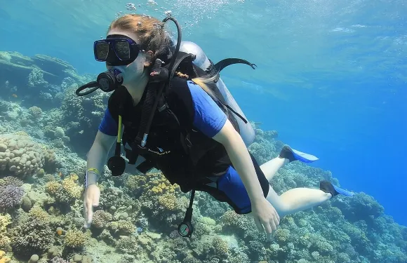 埃及洪加達探索潛水水肺潛水/浮潛/水肺潛水攝影8小時