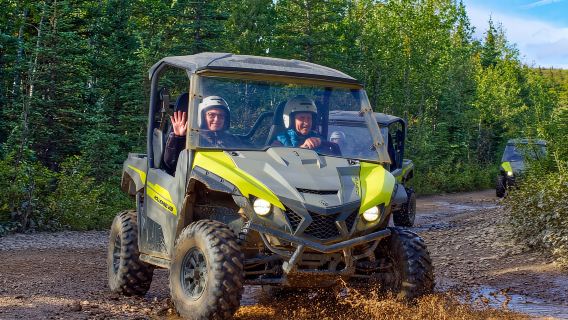 Parque Nacional Denali: Aventura en ATV por la naturaleza salvaje