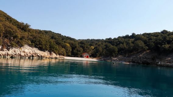 5 uur Plavnik Eiland: Zwem & Snorkel met Kapitein Bobo (Openbaar)