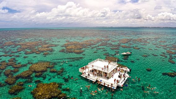 Discover Underwater Beauty: Explore Maracajaú's Parrachos Reef