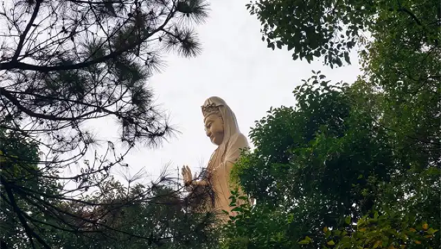 普陀山風景區一日遊【自由行：車船票+可選含門票組合選擇】