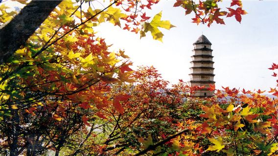Yan'an City One-day Chinese Group Tour: Five Iconic Landmarks Awaken Historical Memories!