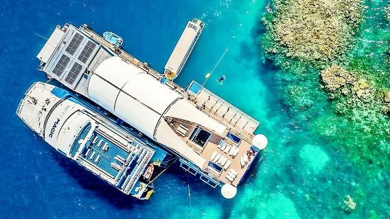 接急單#凱恩斯夢幻麗礁大堡礁遊輪一日遊深度5小時可選直升機