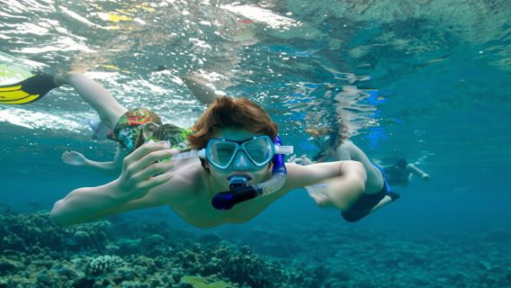 Pengalaman selam skuba 2 Jam di Unawatuna, Sri Lanka