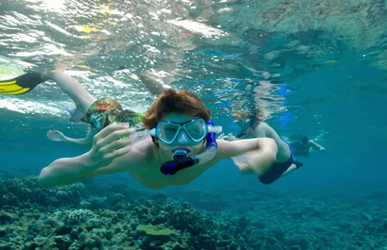 斯里蘭卡烏納瓦圖納體驗潛水浮潛2小時【烏納瓦圖納浮潛】