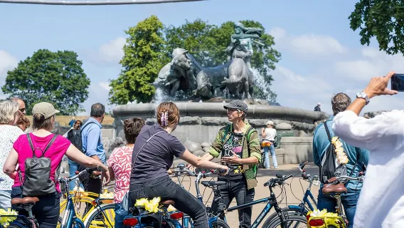 Copenhagen Highlights 3 Hour Bike Tour with local Guide