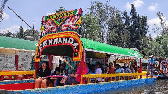 Xochimilco, Coyoacan and Frida Kahlo with Optional Lunch