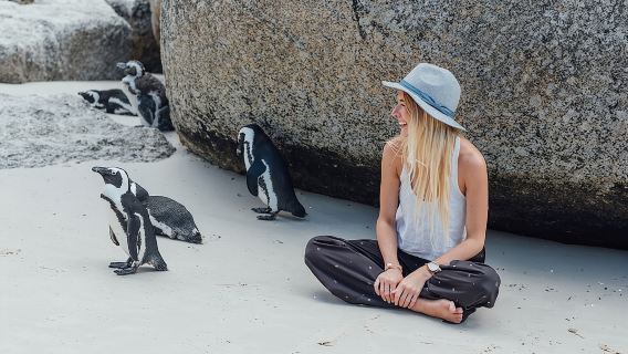 Cape Of Good Hope Instagram Small Group Tour with Penguins