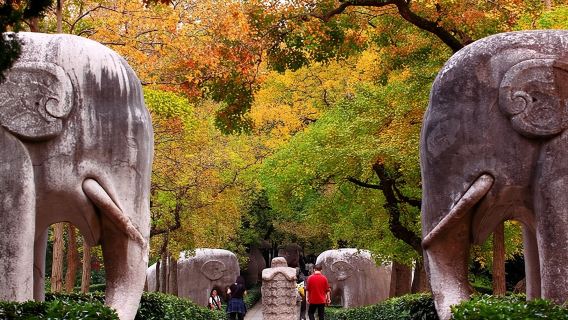 6-Hour Private Tour of Xiaoling Tomb,City Wall & Memorial Hall