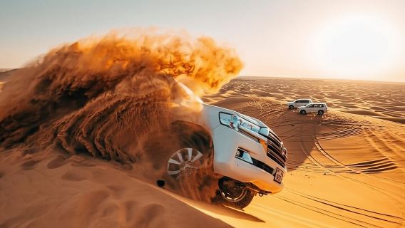 Chuyến đi săn sa mạc buổi sáng