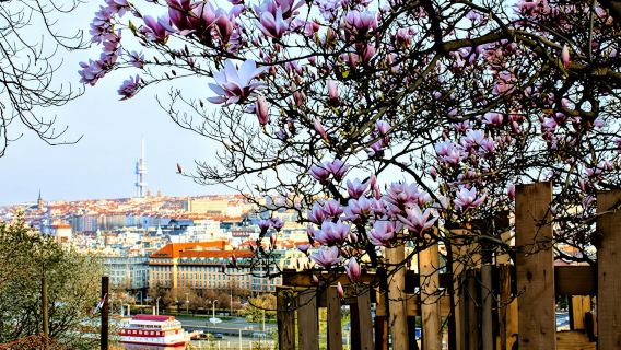 Self-guided discovery walk in Prague with breathtaking views and parks
