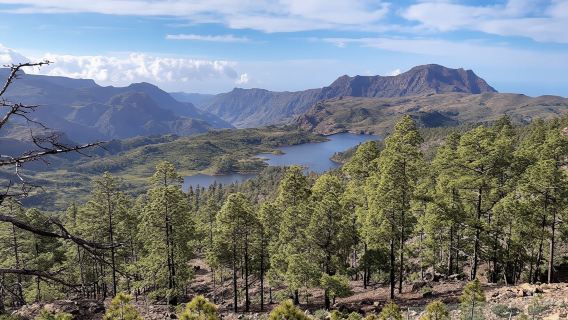 Ganztägige Wandertour auf Gran Canaria: Route der Woche