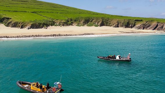 Blasket Island Sea Life Rib Tour,