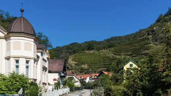 瑞士因特拉肯-施皮茨城堡+藍湖自然公園【普通話專車-舒適純淨】