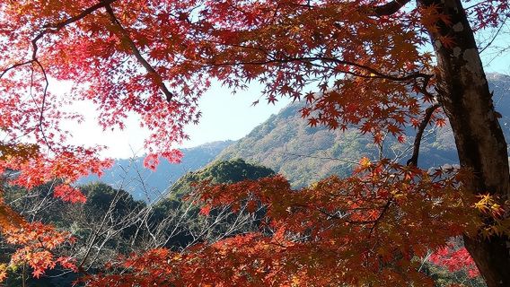 岐阜市日遊